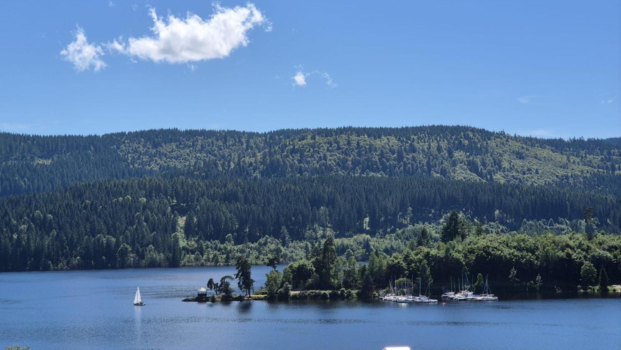 Chalet Schluchsee Ferienwohnung Bagian luar foto