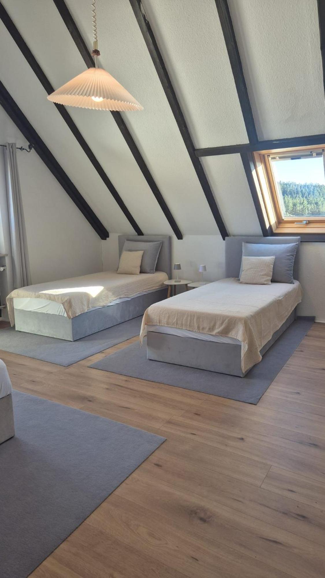 Chalet Schluchsee Ferienwohnung Bagian luar foto